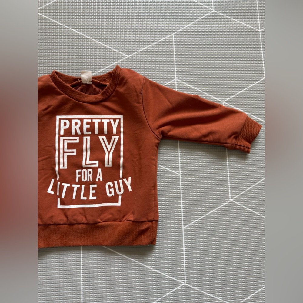 Small shop|Baby boy burnt orange crewneck sweater “Pretty Fly for a little guy”•